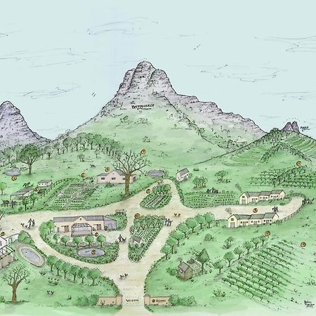 Rozendal Stay Stellenbosch Bagian luar foto