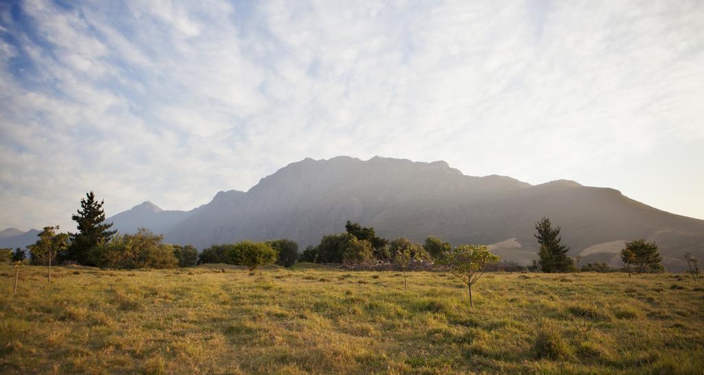 Rozendal Stay Stellenbosch Bagian luar foto
