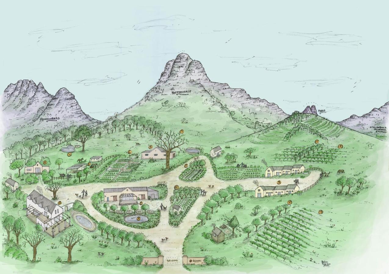 Rozendal Stay Stellenbosch Bagian luar foto
