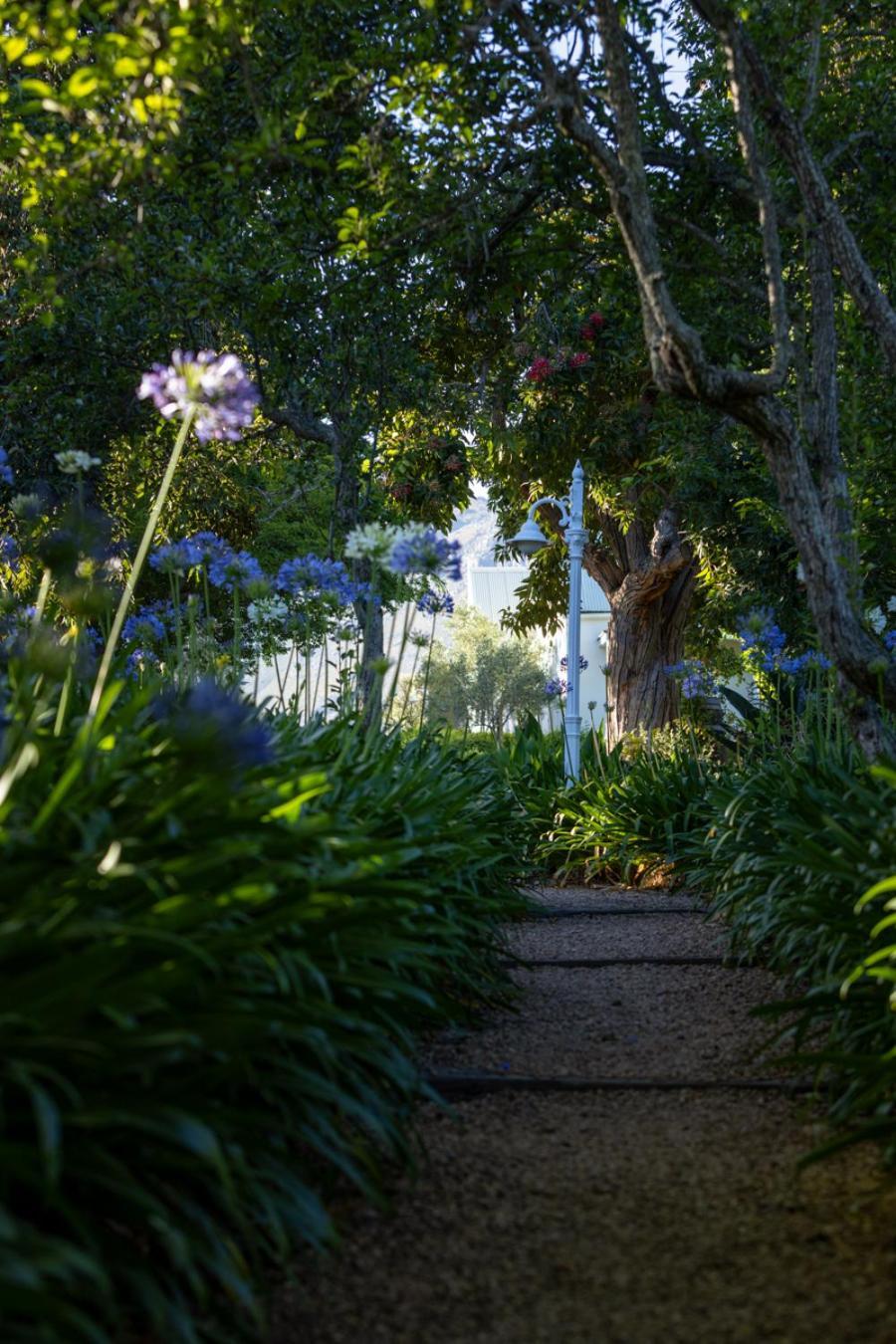 Rozendal Stay Stellenbosch Bagian luar foto