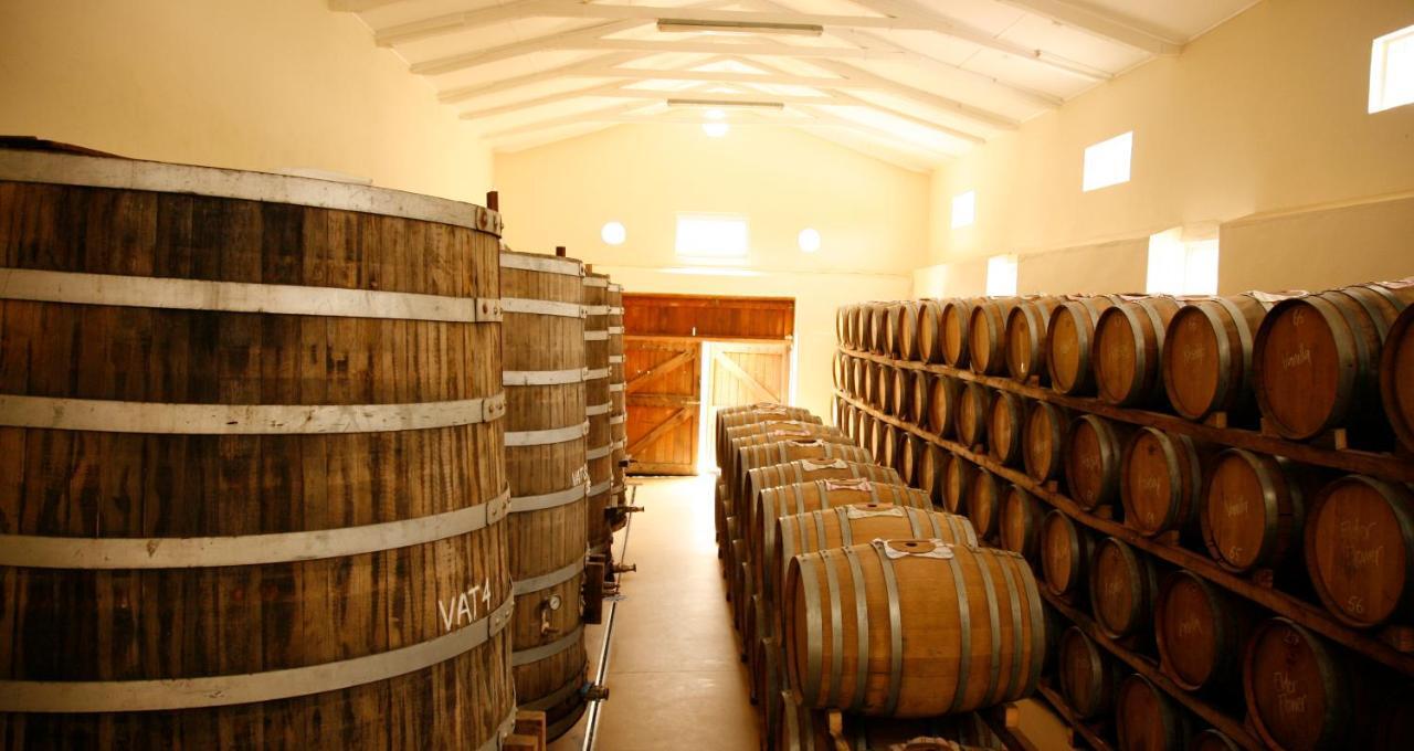 Rozendal Stay Stellenbosch Bagian luar foto